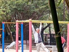-晓港公园