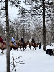 -大秃顶子山(雪谷店)