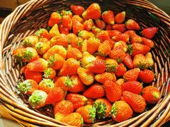 -青岛蓝海大饭店·渔歌舫餐厅(崂山店)