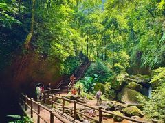 -赤水丹霞旅游区·佛光岩