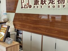 -派联宠物医院·24h·CT·异宠