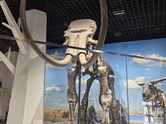 -国家自然博物馆