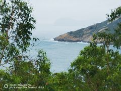 -广东惠东海龟国家级自然保护区