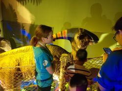 -恐龙探索乐园(磁器口店)