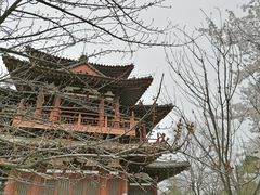 -西安青龙寺遗址景区