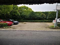 -马陆小张葡萄园农家乐