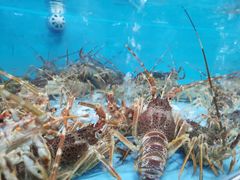 -渔人湾码头海鲜市场负二楼