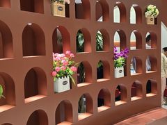 -马白开来特色羊排揪片子  (总店)