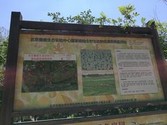 -北京麋鹿生态实验中心
