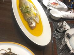 -金陵精菜馆