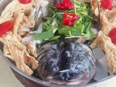 -顺德公美食(西乡店)