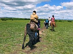 -塞罕坝国家级自然保护区