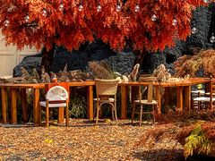 -Blue Concept Cafe&Farm·關於藍