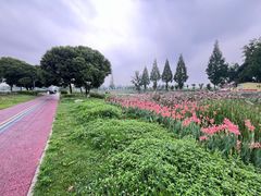 -蜀绣公园