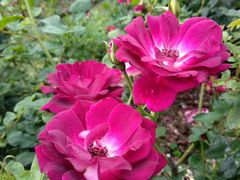 -人民公园(罗湖区)