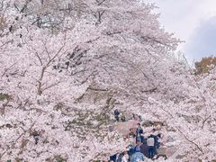 -杭州少年儿童公园