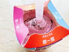 西班牙红提口味麦旋风-麦当劳(东苑丽宝商业广场店)