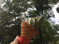 -豆政(金閣寺境内売店)