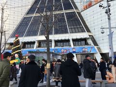 -乐天免税店(明洞店)