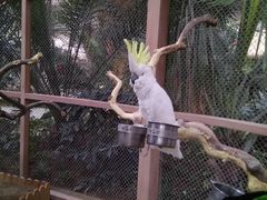 -南宫五洲植物乐园