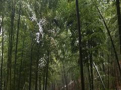 -湖州龙王山景区