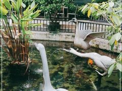 -鹅公村·国家非遗传承(荔湾店)