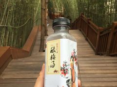 -天河潭旅游度假区