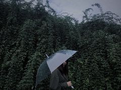 -成都中医药大学(温江校区)