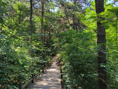 -北京西山国家森林公园