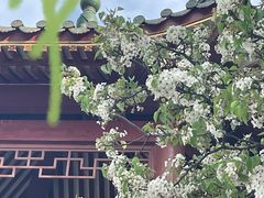-中山公园