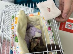 -美美宠物诊疗中心·异宠·骨科(滨江东信分院)