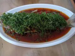 -老字号怡玺·藿香雅鱼(20年雅安店)