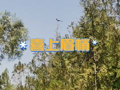 -佛慧山