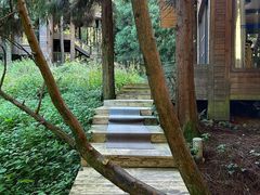 -武陵山森林公园