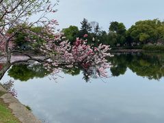 -无锡蠡湖国家湿地公园-蠡园