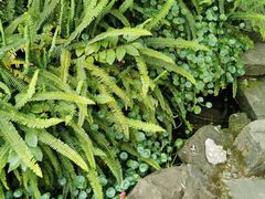 -驿舍·民國老营房院子私房菜(科学会堂店)