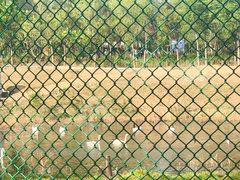 -淇河国家湿地公园