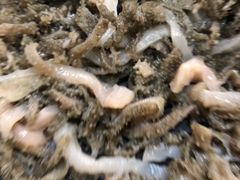 -陈记顺和潮汕牛肉火锅(棠德南路店)