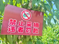 -北京金海湖景区