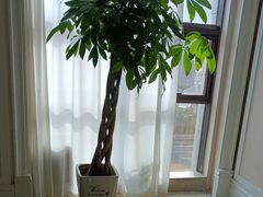 -洛阳宴·洛阳菜(南昌路店)