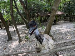 -常州淹城野生动物世界