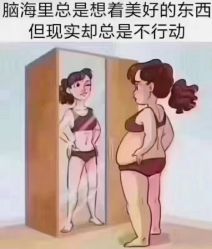 -香薇妮丝女子减肥院