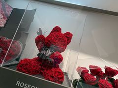 -ROSEONLY诺誓(广州K11店)