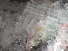 -鸽云轩(望牛墩店)