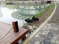 -金桥现代产业园区-停车场