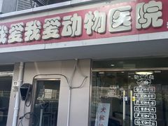 -中农大我爱我爱24h动物医院·中医针灸·猫专科·骨科医疗中心(双井店)