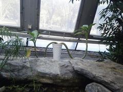 -北京植物园-展览温室