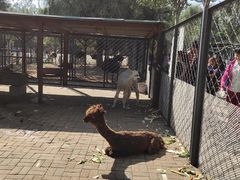 -长白岛森林公园