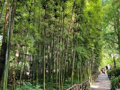 -成都杜甫草堂博物馆