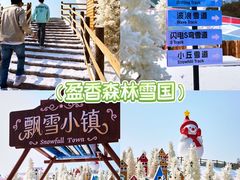 -盈香心动乐园